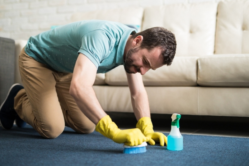 How To Clean An Indoor Outdoor Rug Step By Step Professional Guide